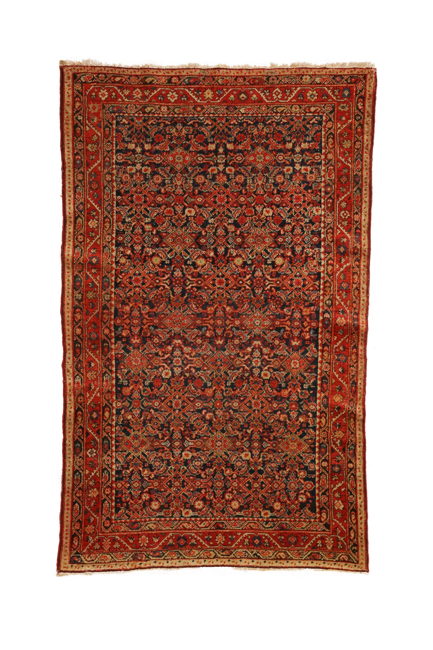 M0783- MALAYER